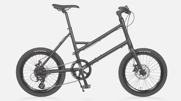 75_grande.png?v=1722574004